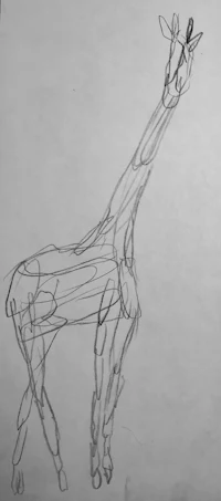a drawing of a giraffe on a piece of paper