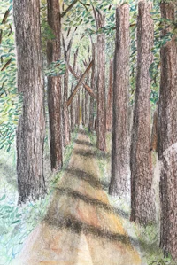 a drawing of a dirt road in the woods